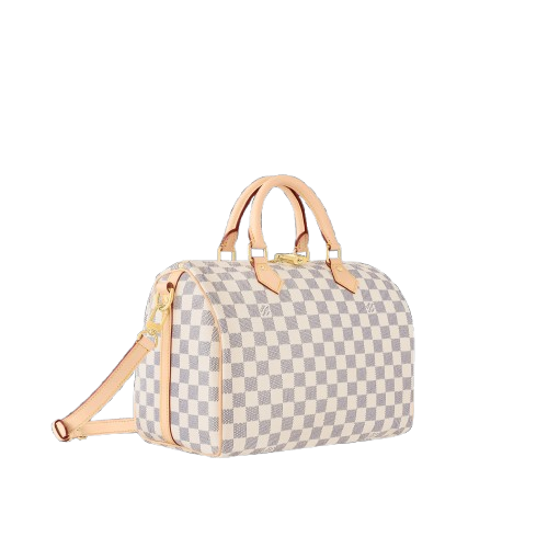 LV - Speedy 30 Bag