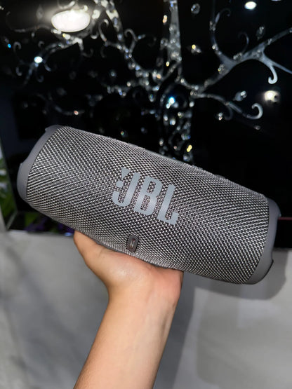 JBL Flip 6